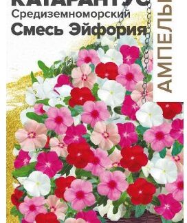 КАТАРАНТУС СРЕДИЗЕМНОМОРСКИЙ СМЕСЬ ЭЙФОРИЯ