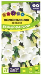 КОЛОКОЛЬЧИК СРЕДНИЙ БЕЛЫЙ ФАРФОР