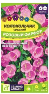 КОЛОКОЛЬЧИК СРЕДНИЙ РОЗОВЫЙ ФАРФОР