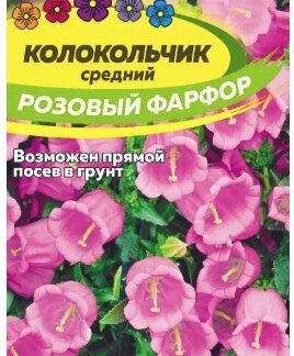 КОЛОКОЛЬЧИК СРЕДНИЙ РОЗОВЫЙ ФАРФОР