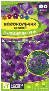 КОЛОКОЛЬЧИК СРЕДНИЙ ГОЛУБАЯ ЛАГУНА