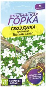 ГВОЗДИКА БЕЛЫЙ СНЕГ ТРАВЯНКА