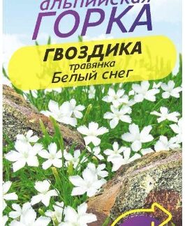 ГВОЗДИКА БЕЛЫЙ СНЕГ ТРАВЯНКА