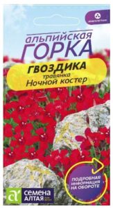 ГВОЗДИКА ТРАВЯНКА НОЧНОЙ КОСТЕР