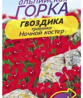 ГВОЗДИКА ТРАВЯНКА НОЧНОЙ КОСТЕР