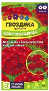 ГВОЗДИКА ТУРЕЦКАЯ АЛАЯ КРАСАВИЦА