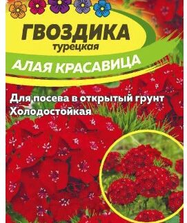 ГВОЗДИКА ТУРЕЦКАЯ АЛАЯ КРАСАВИЦА