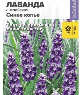 ЛАВАНДА СИНЕЕ КОПЬЕ УЗКОЛИСТНАЯ