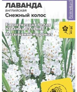 ЛАВАНДА СНЕЖНЫЙ КОЛОС АНГЛИЙСКАЯ