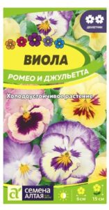 ВИОЛА РОМЕО И ДЖУЛЬЕТТА