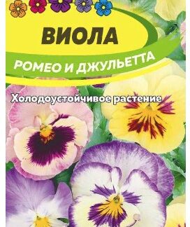 ВИОЛА РОМЕО И ДЖУЛЬЕТТА