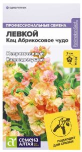 ЛЕВКОЙ КАЦ АБРИКОСОВОЕ ЧУДО МАХРОВЫЙ