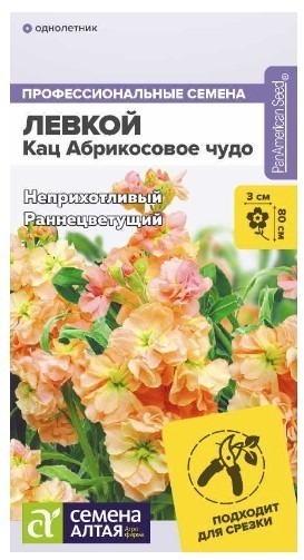 ЛЕВКОЙ КАЦ АБРИКОСОВОЕ ЧУДО МАХРОВЫЙ