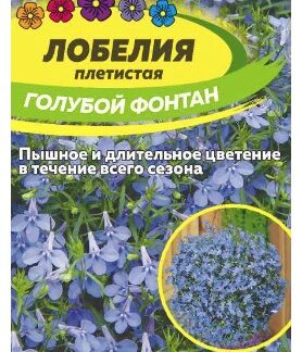 ЛОБЕЛИЯ ГОЛУБОЙ ФОНТАН ПЛЕТИСТАЯ