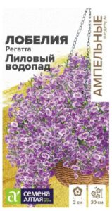 ЛОБЕЛИЯ РЕГАТТА ЛИЛОВЫЙ ВОДОПАД АМПЕЛЬНАЯ