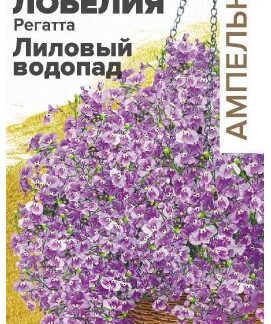 ЛОБЕЛИЯ РЕГАТТА ЛИЛОВЫЙ ВОДОПАД АМПЕЛЬНАЯ