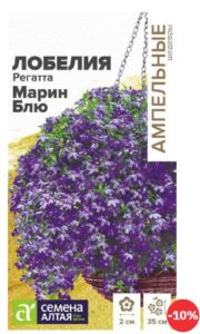 ЛОБЕЛИЯ РЕГАТТА МАРИН БЛЮ АМПЕЛЬНАЯ