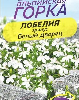 ЛОБЕЛИЯ ЭРИНУС БЕЛЫЙ ДВОРЕЦ