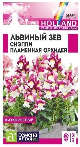 ЛЬВИНЫЙ ЗЕВ СНЭППИ ПЛАМЕННАЯ ОРХИДЕЯ