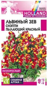 ЛЬВИНЫЙ ЗЕВ СНЭППИ ПЫЛАЮЩИЙ КРАСНЫЙ