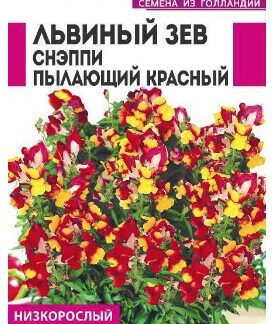 ЛЬВИНЫЙ ЗЕВ СНЭППИ ПЫЛАЮЩИЙ КРАСНЫЙ