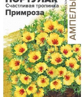 ПОРТУЛАК СЧАСТЛИВАЯ ТРОПИНКА ПРИМРОЗА