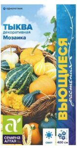 ТЫКВА ДЕКОРАТИВНАЯ МОЗАИКА