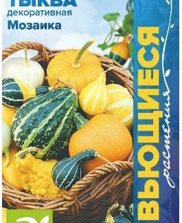 ТЫКВА ДЕКОРАТИВНАЯ МОЗАИКА