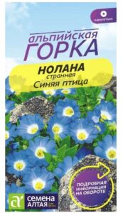 НОЛАНА СИНЯЯ ПТИЦА СТРАННАЯ