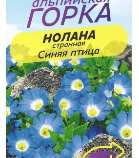 НОЛАНА СИНЯЯ ПТИЦА СТРАННАЯ