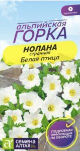 НОЛАНА Белая ПТИЦА СТРАННАЯ