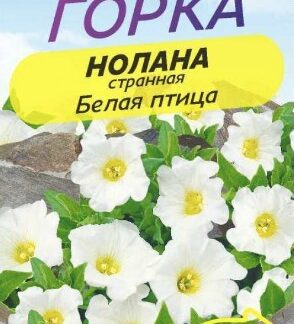 НОЛАНА Белая ПТИЦА СТРАННАЯ