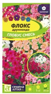 ФЛОКС ГЛОБУС СМЕСЬ ДРУММОНДА