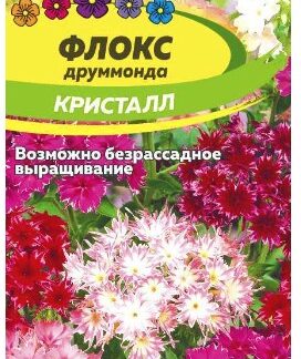 ФЛОКС КРИСТАЛЛ ДРУММОНДА