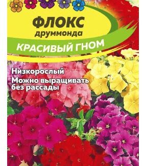 ФЛОКС КРАСИВЫЙ ГНОМ