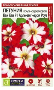 ПЕТУНИЯ КАН КАН F1 АРЛЕКИН ЧЕРРИ РОУЗ