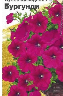 ПЕТУНИЯ СУПЕРКАСКАДНАЯ F1 БУРГУНДИ