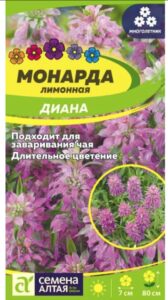 Цветы Монарда Диана лимонная