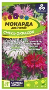 Цветы Монарда Смесь окрасок двойчатая