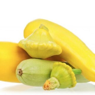 Кабачки и патиссоны