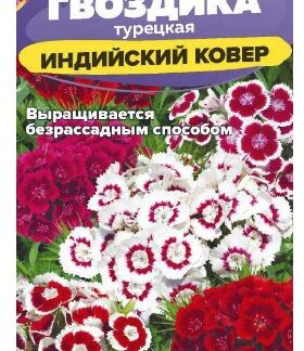 Гвоздика турецкая Индийский Ковер