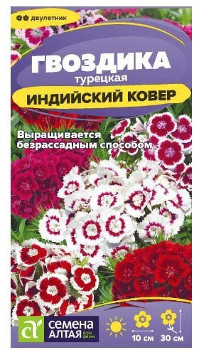 Гвоздика турецкая Индийский Ковер