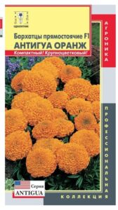 Бархатцы прямостоячие Антигуа Оранж F1 Плазмас