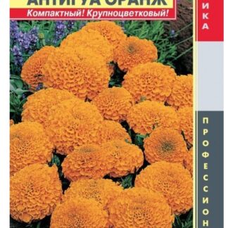 Бархатцы прямостоячие Антигуа Оранж F1 Плазмас
