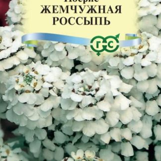 ИБЕРИС Жемчужная россыпь