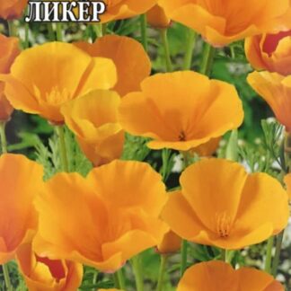 Эшшольция Апельсиновый ликер