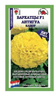 Бархатцы Антигуа Еллоу F1