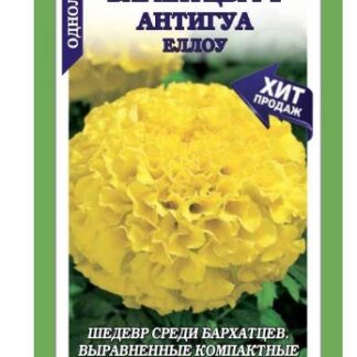 Бархатцы Антигуа Еллоу F1