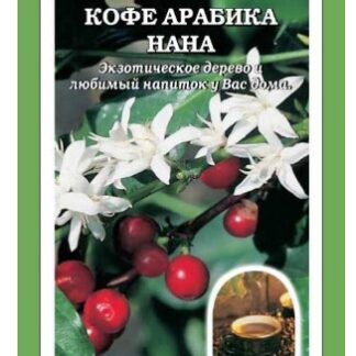 Кофе Арабика Нана