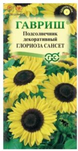 Подсолнечник декоративный Глориоза Сансет